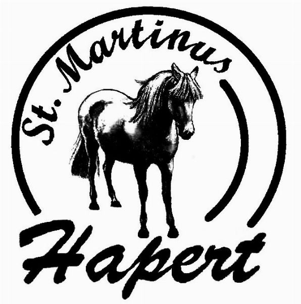 Sint Martinus Hapert